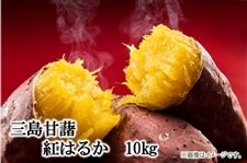静岡県産さつまいも【紅はるか】「三島甘藷（みしまかんしょ）」JAふじ伊豆 約10kg
