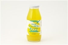 �y��̓��z�j���[�T�}�[�I�����W�h�����N10�{�Z�b�g�@�i�`�ӂ��ɓ�