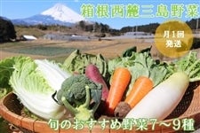 静岡県産「箱根西麓三島野菜詰合せ」 ＪＡふじ伊豆