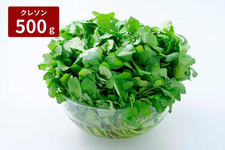 ɓchЂ炽_h̃N\ p500g