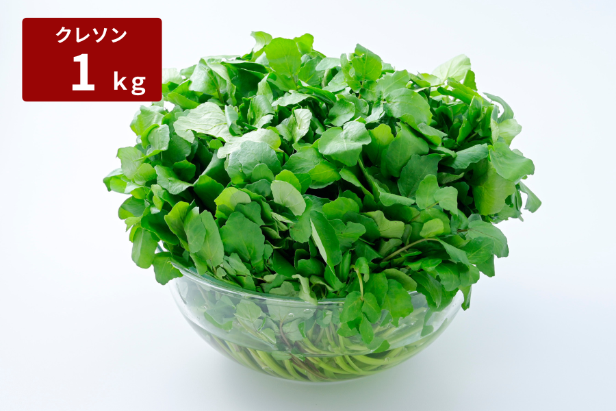 ɓchЂ炽_h̃N\ pPkg