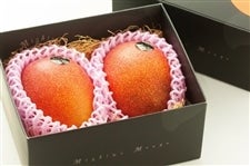 �u�݂��܃}���S�[�v�É����Y�Q�ʉ��ϔ��� JA�ӂ��ɓ�