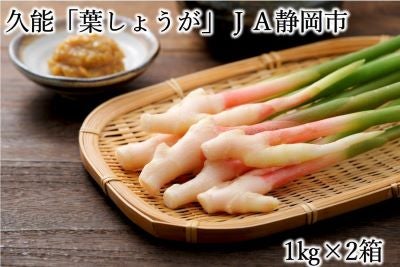 �É����v�\�Y�u�t���傤���vJA�É��s�@�Q�����i1kg×2���j