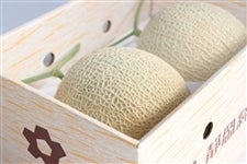 JA遠州夢咲 メロン 2玉(出荷箱)