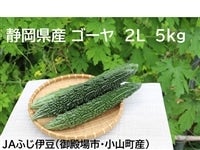 ÉYS[Tkgir^CO[ji`ӂɓ
