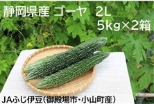 【２箱セット】静岡県産ゴーヤ10�s（５kg×２箱）（ビタCグリーン）ＪＡふじ伊豆
