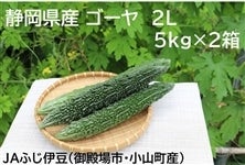 yQZbgzÉYS[10siTkg×Qjir^CO[ji`ӂɓ