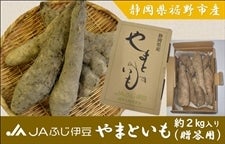 裾野市産 やまといも 2kg箱 贈答用 JAふじ伊豆
