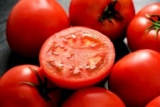 �É����Y�g�}�g�u�i�`���B���� �T�����[�h�v2kg�y�~�G�z�Ꮙ�񔭑�1/22(��)���琏����