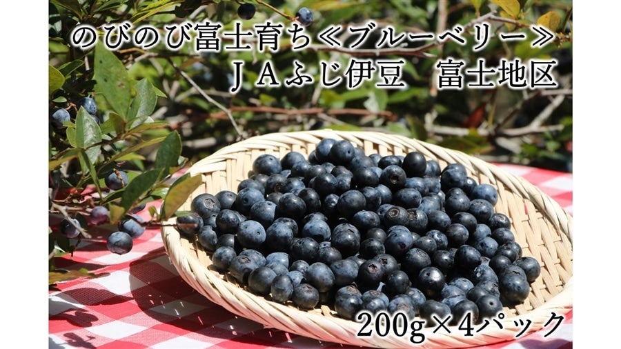 ̂т̂ѕxm炿u[x[200g×4pbN JAӂɓ