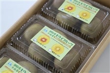 asERYLECt[cuC{[bhv4ʓ×RpbNJAӂɓ