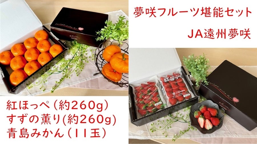 t[c\ZbgiC`S݂j@i`BᏉ񔭑1Q26ij