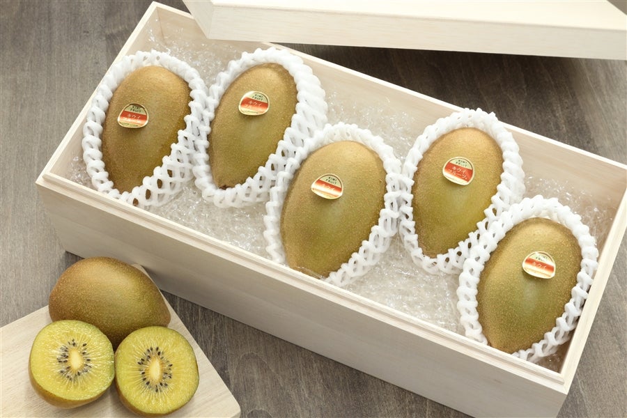 LECt[cuS[hv˔@ JAӂɓ