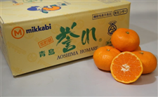 �O�������݂���@�{�����u�_��i�ق܂�j�v�G�Q�k3.5kg