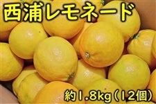 ���Y�����l�[�h��2kg�i12����j �i�`�ӂ��ɓ�