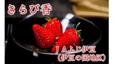 業務規格20P】静岡いちご「きらぴ香」（4P×5箱） JAふじ伊豆
