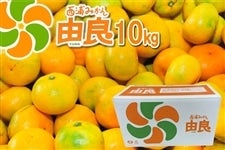 Y݂Rǁ@10kg@ i`ӂɓ