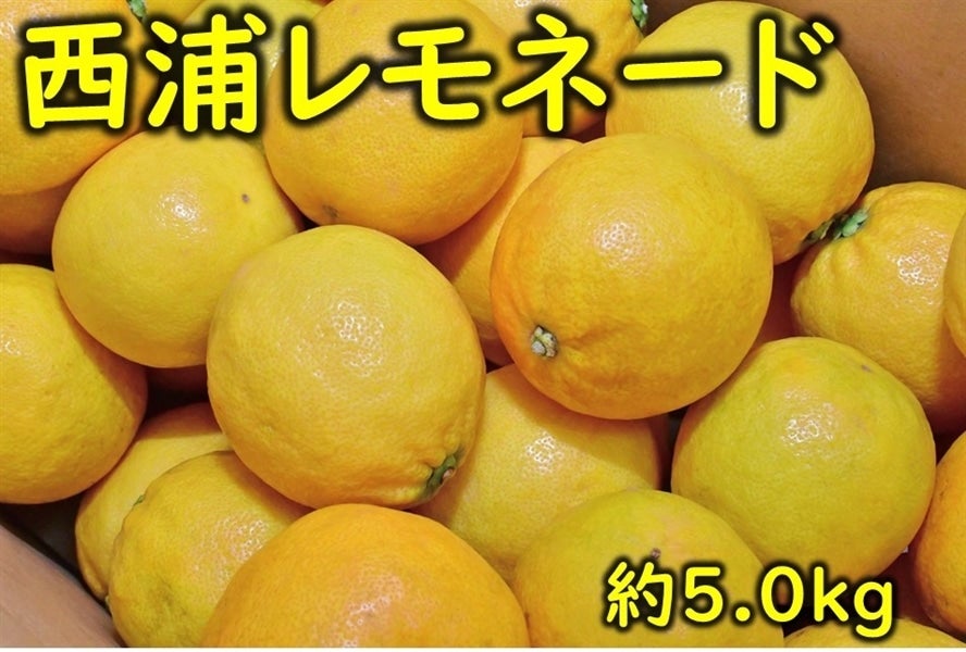  ���Y�����l�[�h��Tkg�@�i�`�ӂ��ɓ�