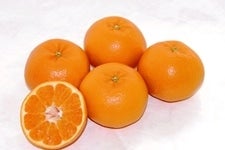 �y����z�É����i�]��o�i�u�͂�݁v�݂���