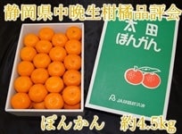 �y����15���z�É����@�i�]��|���J��