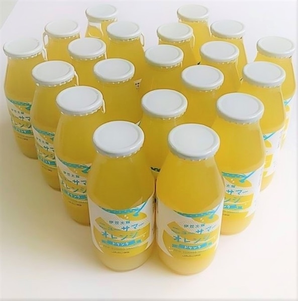 �y�������z�����p�I�j���[�T�}�[�I�����W�h�����N1��20�{���� �i�`�ӂ��ɓ�