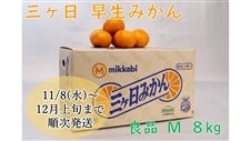 三ヶ日早生みかん（良品）M 8kg JAみっかび≪11月11日(月