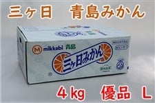 �O�������݂���i�D�i�jL 4kg �i�`�݂�����