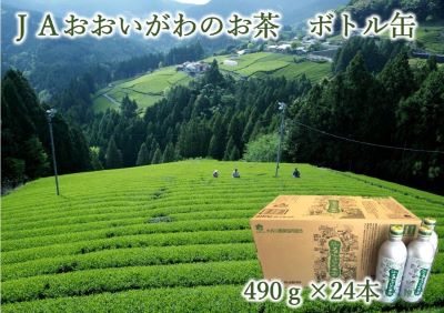 JAおおいがわのお茶 ボトル缶 490g×24本