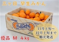 O݂iDijl 4kg i`݂с1111()ȍ~
