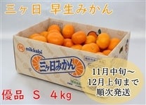 O݂iDijr 4kg i`݂