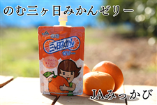 みかん3 のむ三ヶ日みかんゼリー 120g×12本 JAみっかび: しずおか『手しお屋