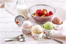 �y��̓��z�₳��������������[�ށ@10�Z�b�g�i5��j���O�ߋ����g�p��