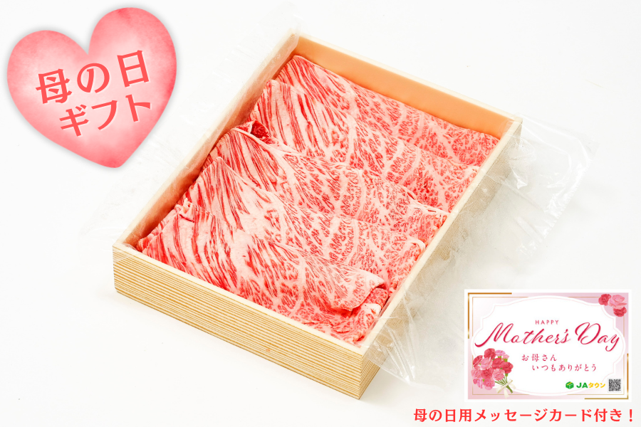 �y��̓��z �|�싍�i���јa��j�����[�X�����Ă��p�@500��  �i�`�|��s