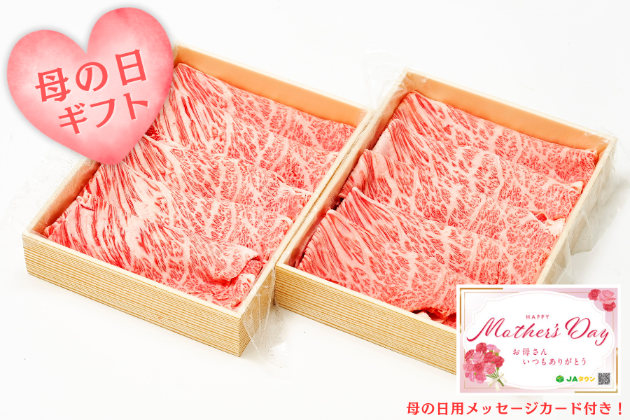 �y��̓��z�|�싍�i���јa��j�����[�X�����Ă��p�@500��×2��  �i�`�|��s