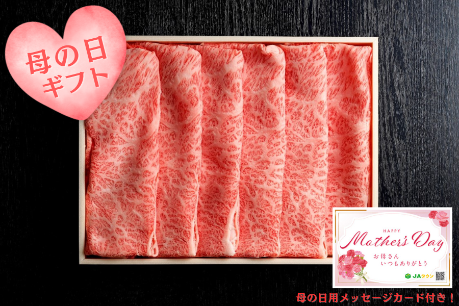 �y��̓��z�|�싍�i���јa��j����Ԃ���ԗp�@500��  �i�`�|��s