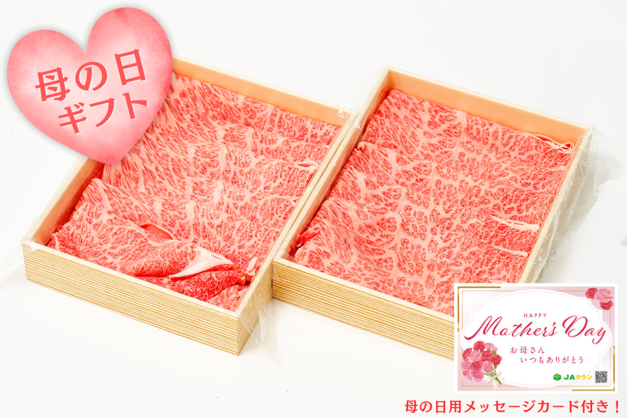 �y��̓��z�|�싍�i���јa��j����Ԃ���ԗp�@500��×2��  �i�`�|��s