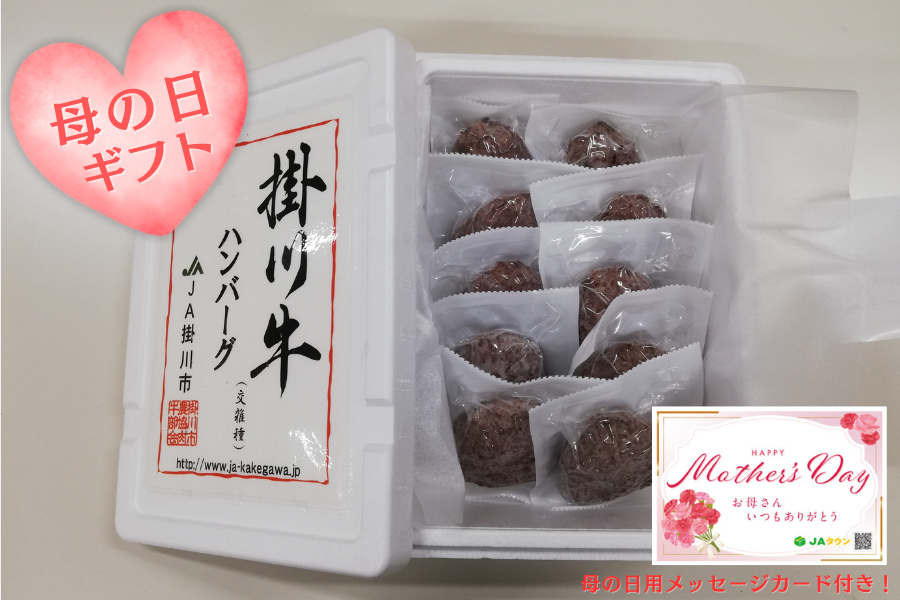 �y��̓��z�|�싍�i���G��j�n���o�[�O140g×8�@�i�`�|��s