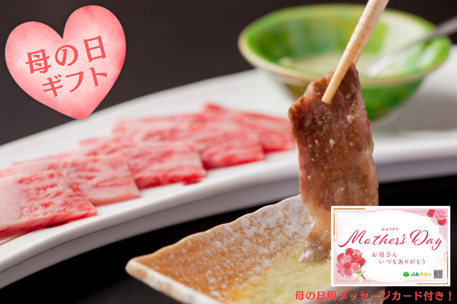 �y��̓��z ���I�a���É������� ���[�X500���i�ē��p�j���Ⓚ��