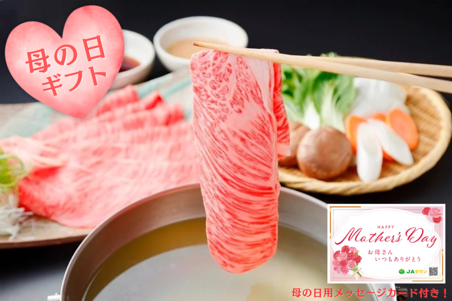 �y��̓��z ���I�a���É������� ���[�X500���i�����Ă��E����Ԃ���ԗp�j���Ⓚ��