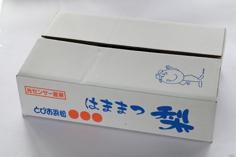 ゆみりん様専用 トリプルクラウン 生食 1.2㌔ クール便発送 入社2年目