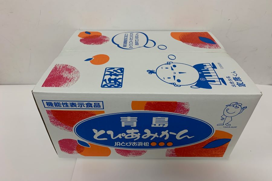 静岡生まれ!青島みかん 約9kg(順次発送予定)