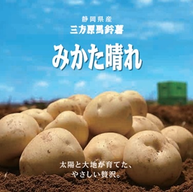 三方原馬鈴薯】 みかた晴れ・L 約10kg: 笑顔「おいしい」のために