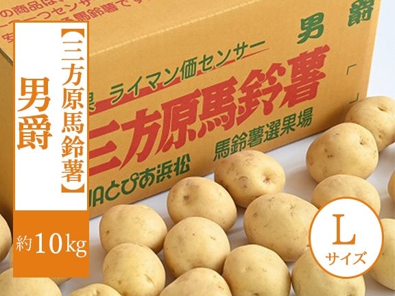 【三方原馬鈴薯】 男爵・L 約10kg