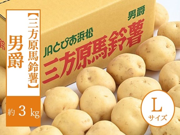 【三方原馬鈴薯】 男爵・L 約3kg