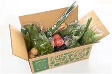 �y2026�p���}CP�z�É����̏{�����͂��@�����BOX��