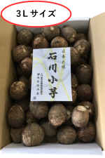 【３Ｌ】静岡県産　石川小芋 　約2kg