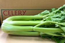 �É����Y�@�Z�����[�@3����