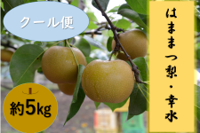 クール便】 はままつ梨 幸水 「8月上旬頃より順次発送」: 笑顔