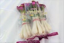 �l�����Y�I�G�V�����b�g�i10�ܓ��j