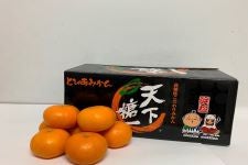 七田式 Home listening みかん １年分 七田式 HomeListeningホームリスニング みかん1月〜9月